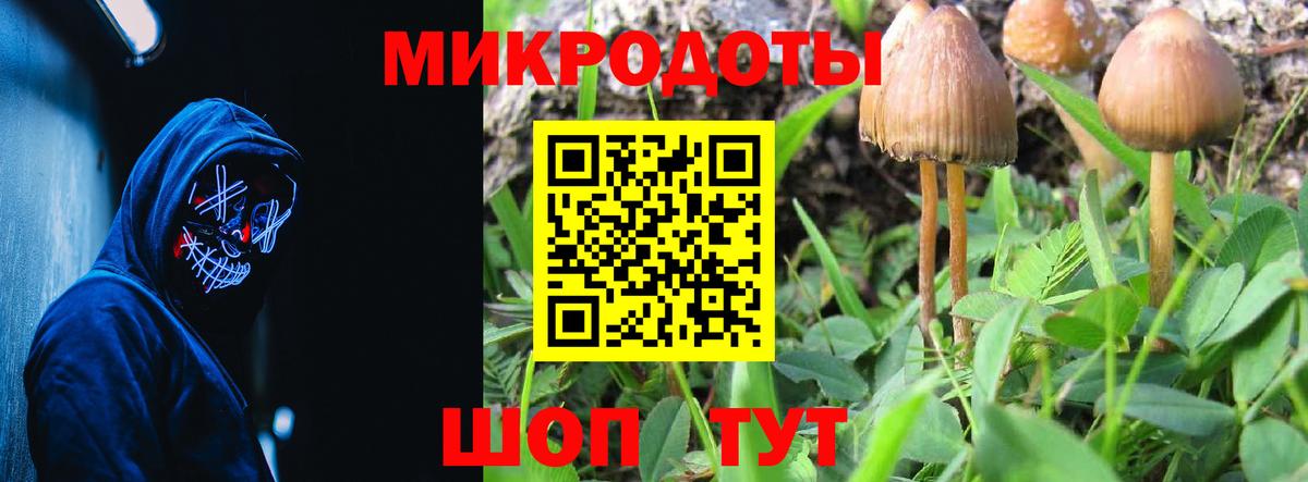 Гусев  Галлюциногенные грибы Psilocybe  Галлюциногенные грибы Cubensis  Вход с VPN 